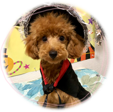 施術後には、可愛く撮影したお写真をプレゼント♪